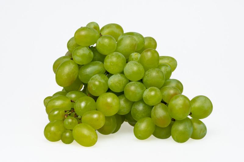 Stuguri